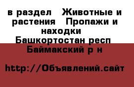  в раздел : Животные и растения » Пропажи и находки . Башкортостан респ.,Баймакский р-н